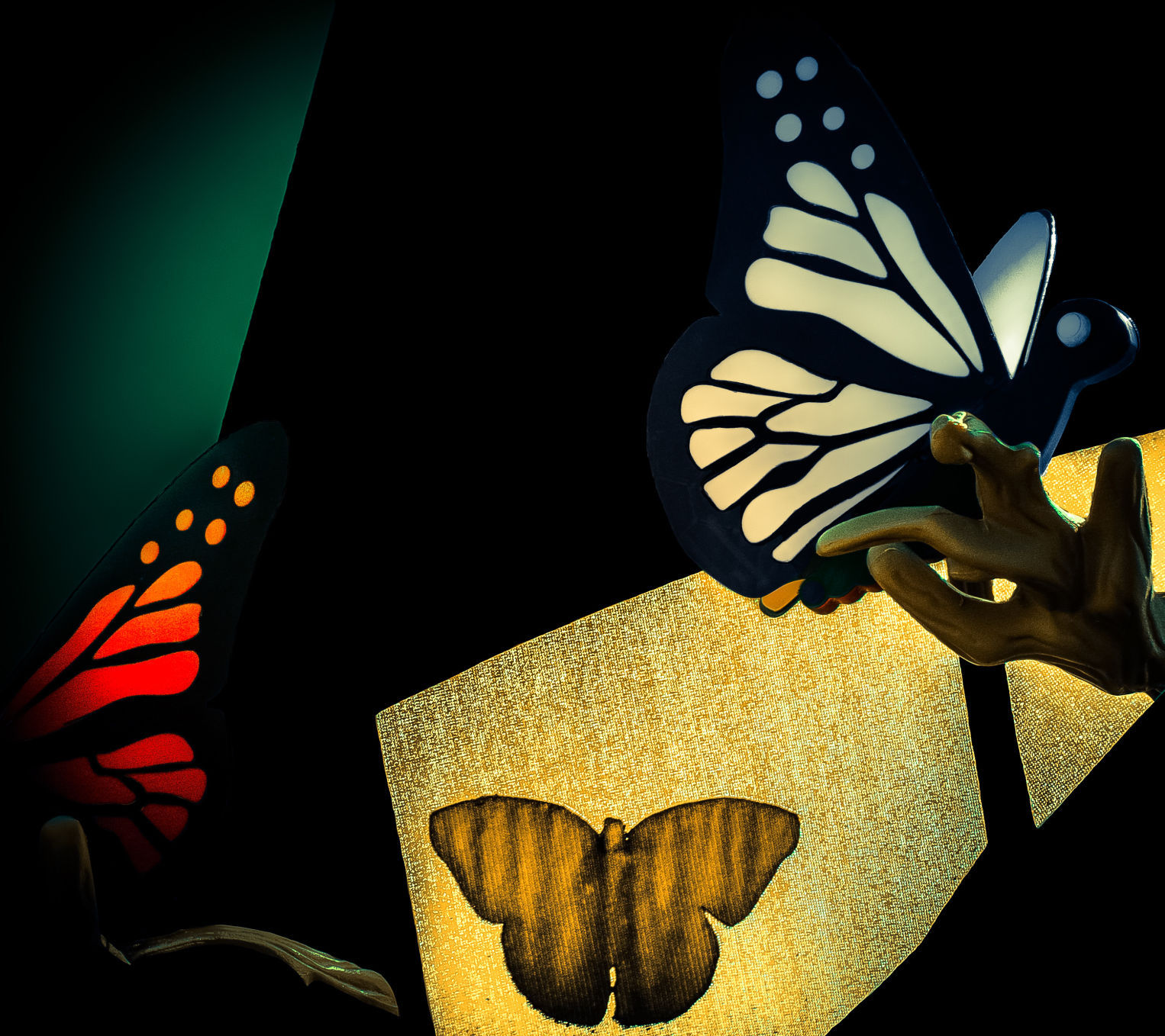 Butterfly Meadows & Caterpillar Crossing